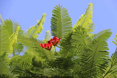 1678860399931085445.jpg f1.jpg