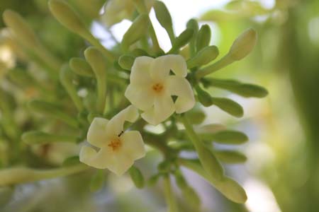 1678860547177093497.jpg m1.jpg